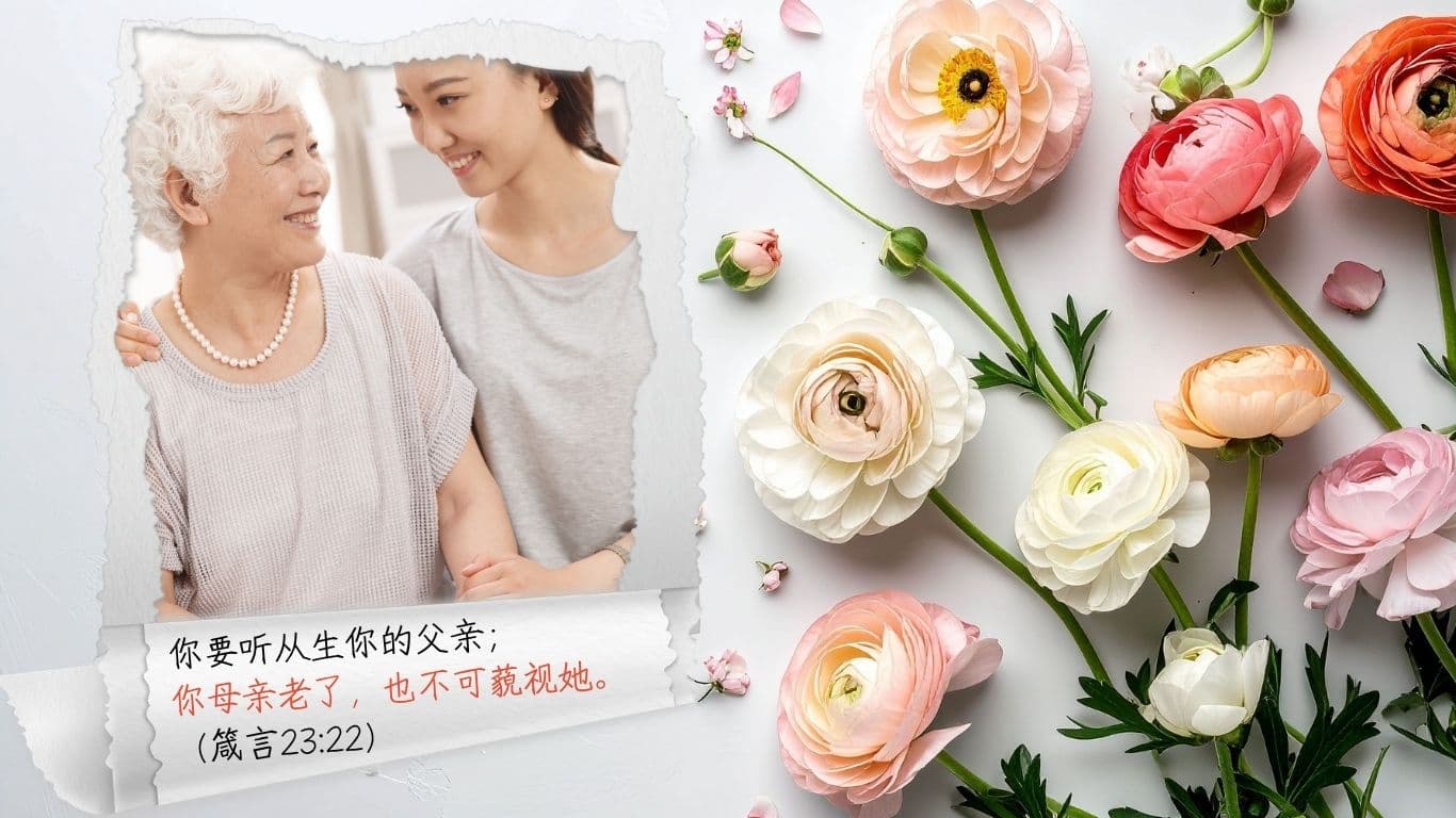 母亲节特备